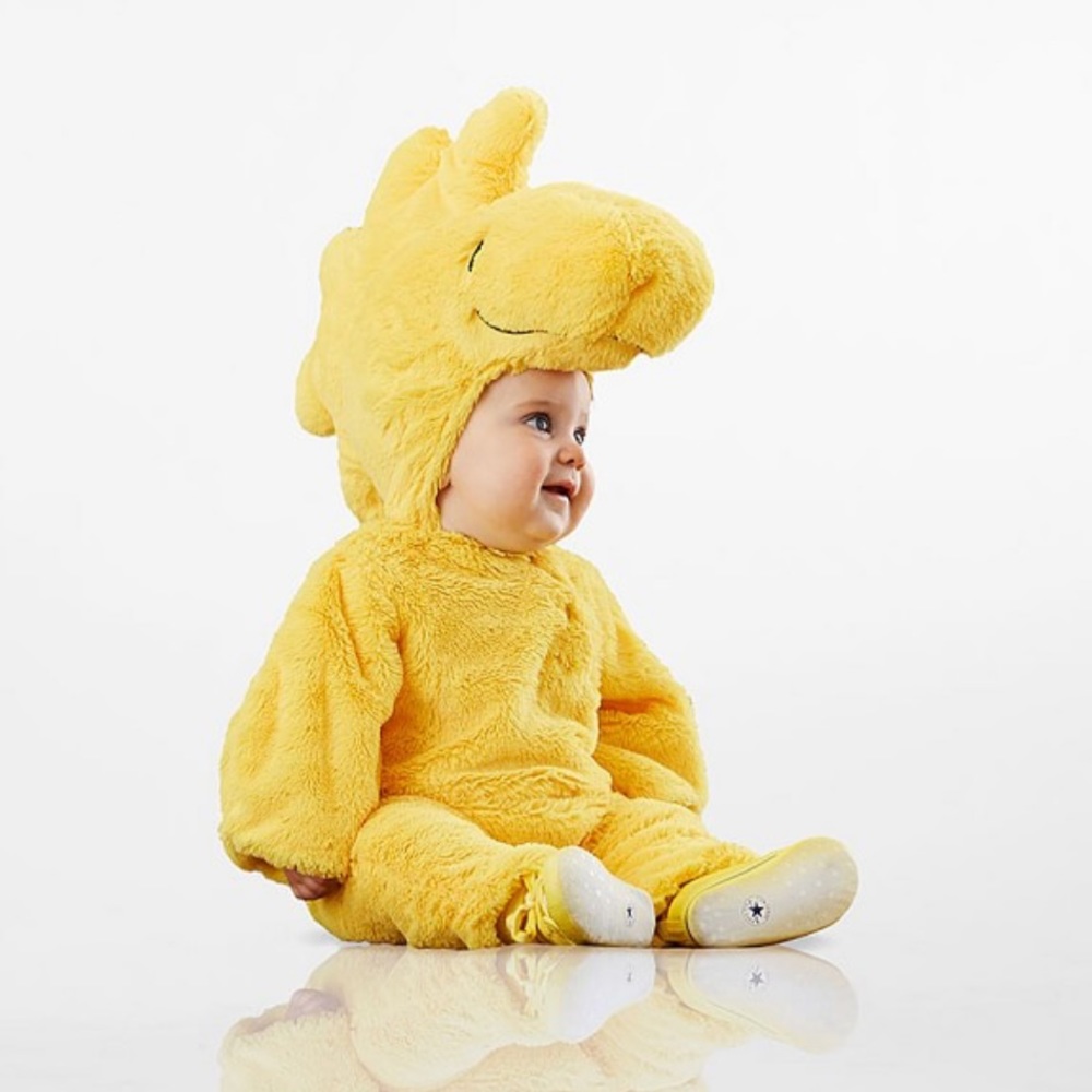 Pottery Barn Kids Baby Woodstock™ Halloween Costume - size 6-12 mos